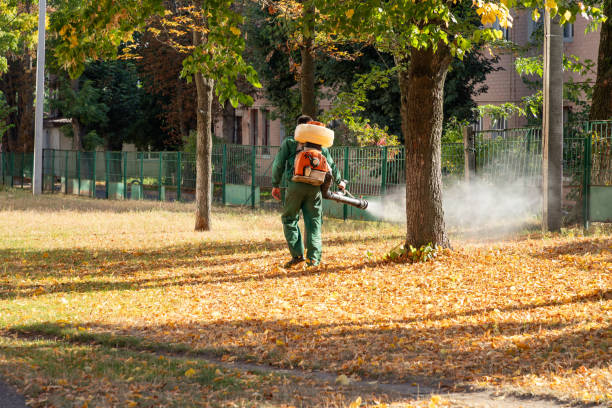 Best Flea Control Services  in Chattahoochee Hills, GA