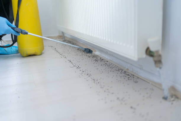 Best Pest Inspection Near Me  in Chattahoochee Hills, GA