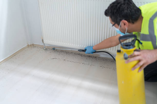 Best Affordable Pest Control Services  in Chattahoochee Hills, GA