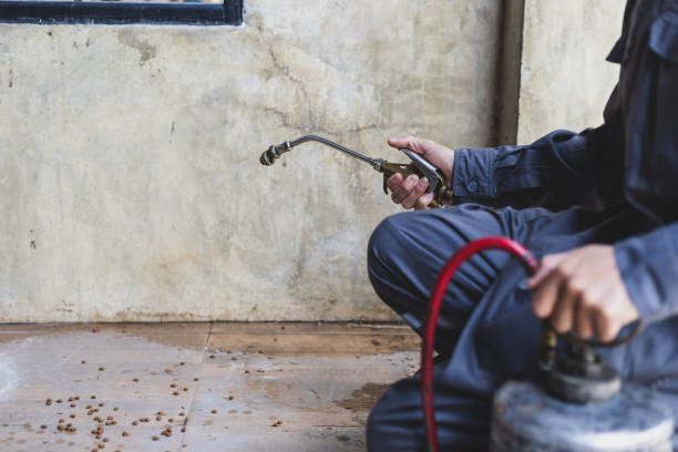 Best Ant Control Services  in Chattahoochee Hills, GA